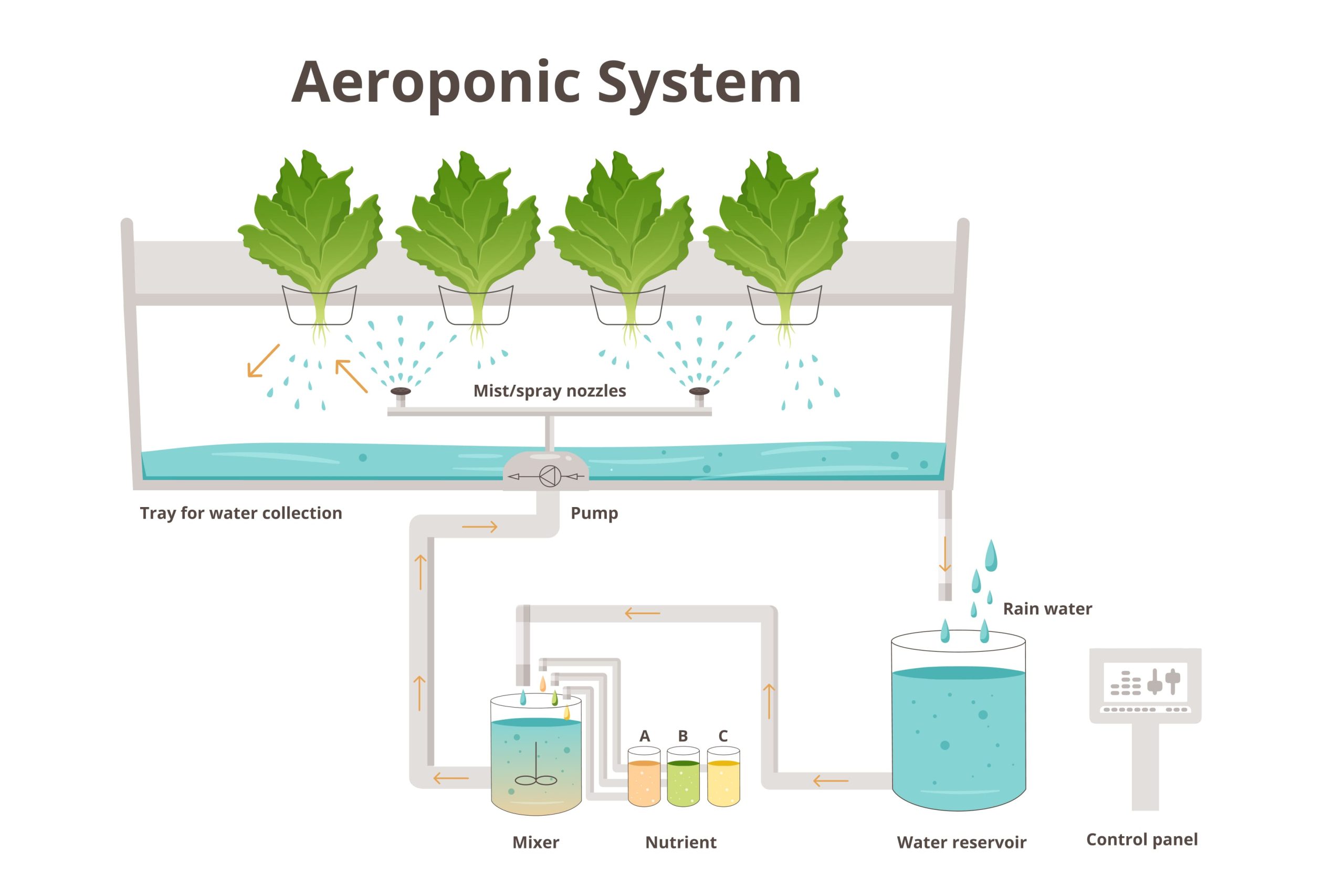 Aeroponic System in greenhouse