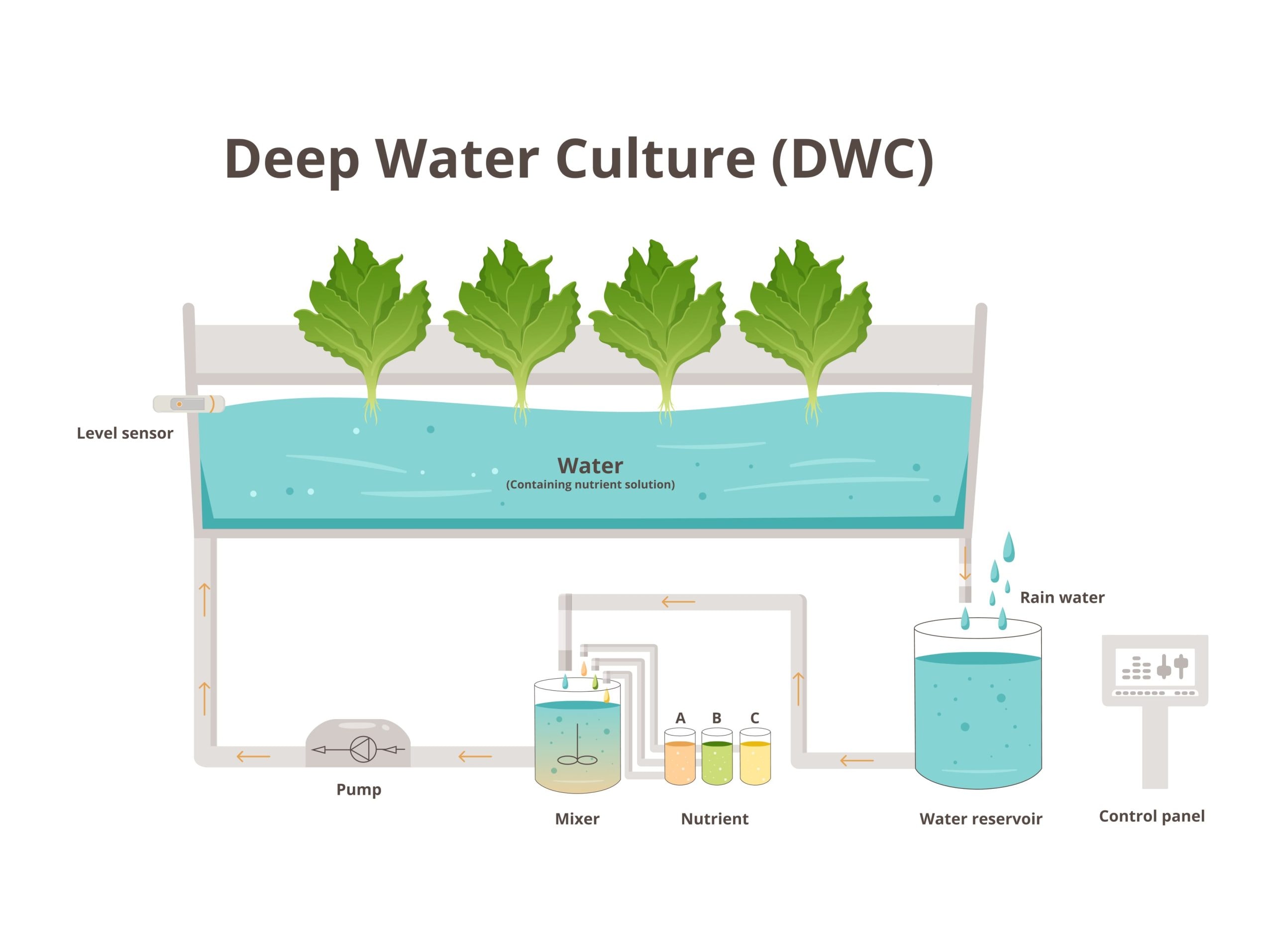 Deep Water Culture (DWC) to grow plants indoors