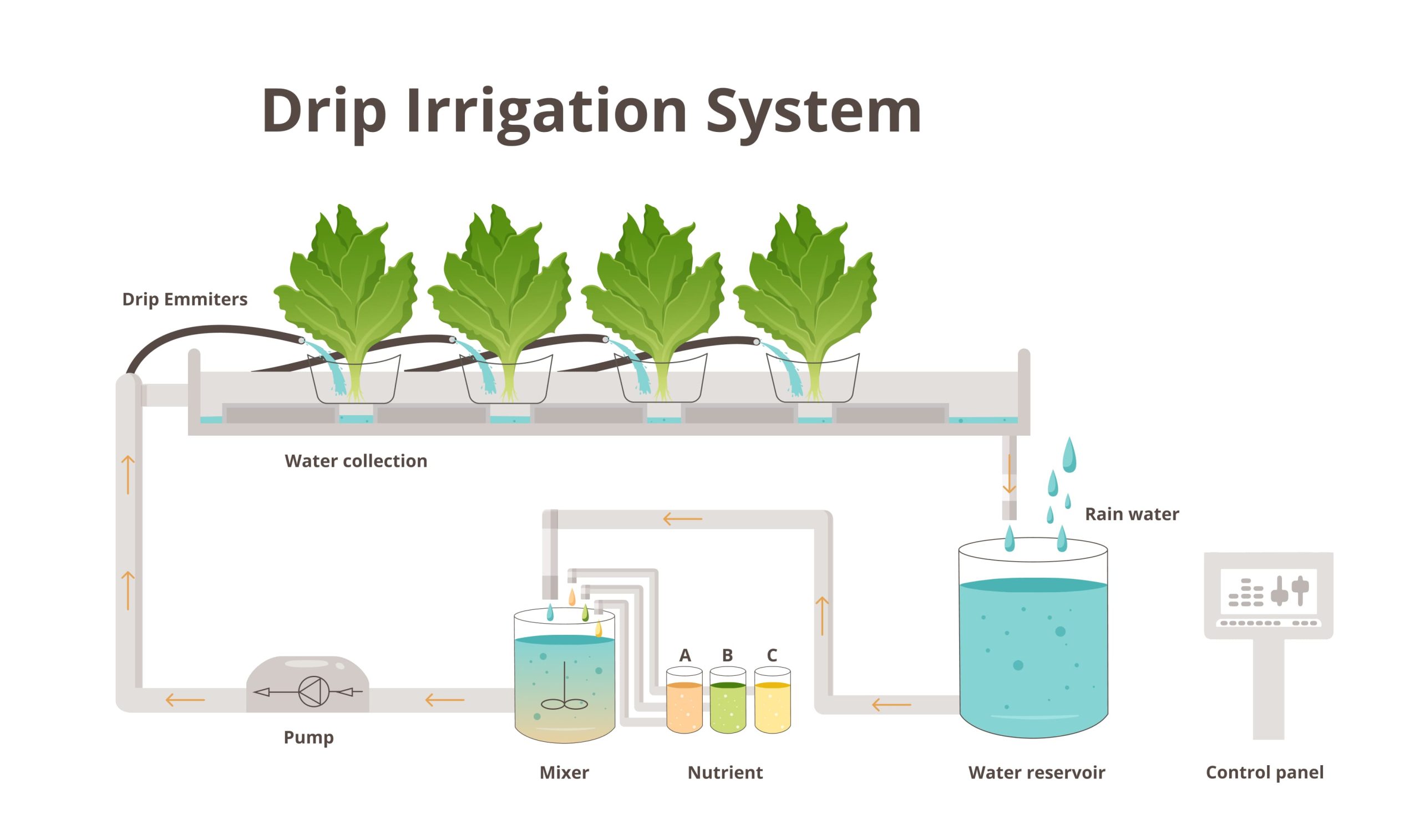 Graphic of drip irrigation system
