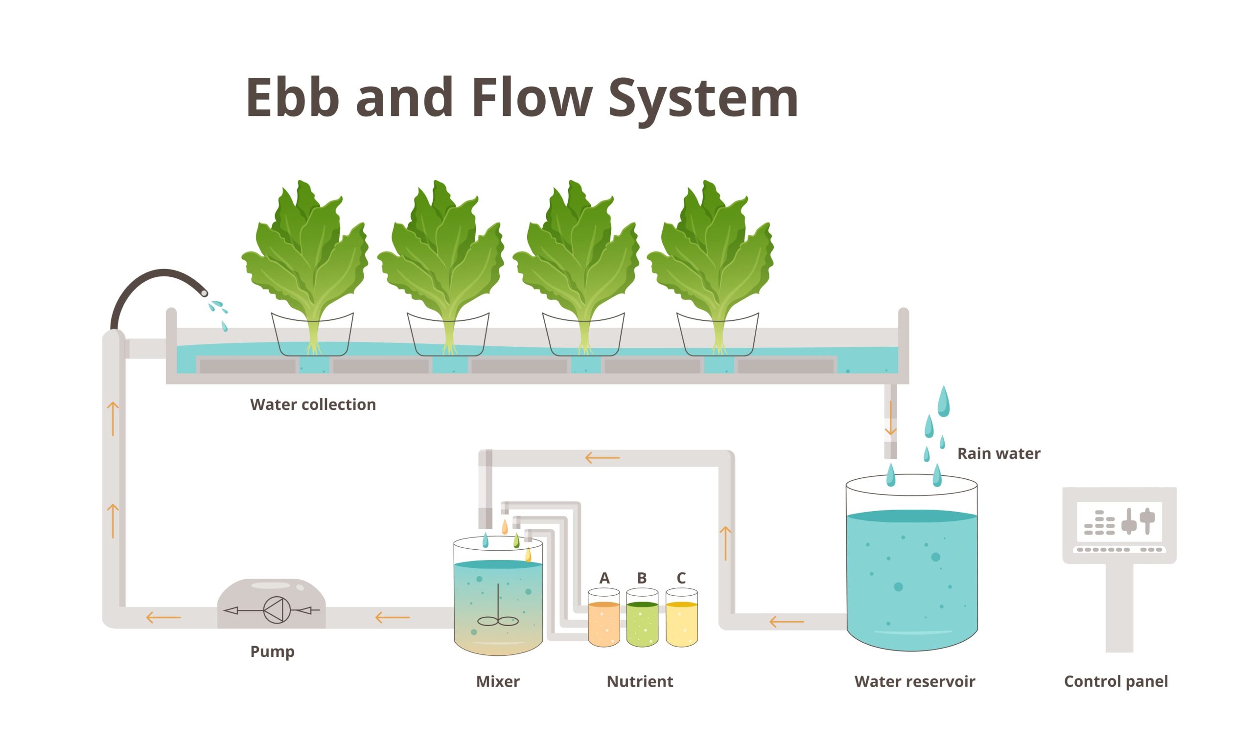 Graphic of how Ebb and Flow System works