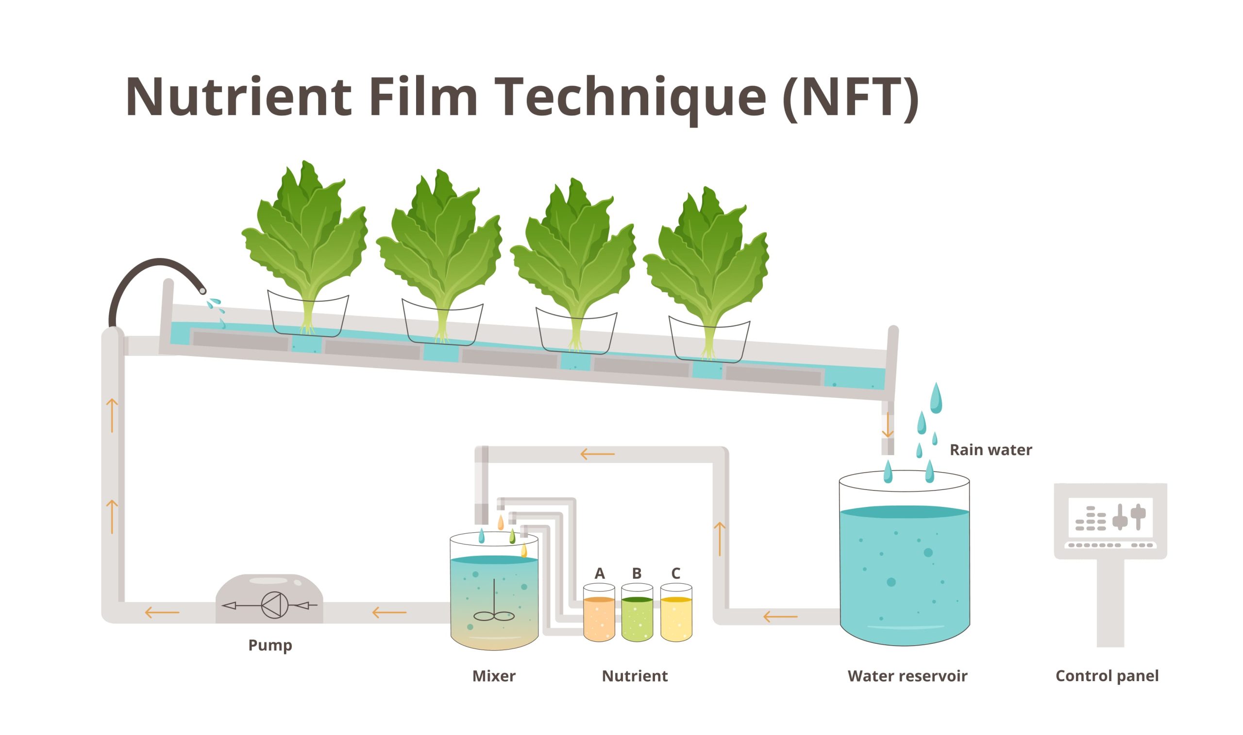 Nutrient Film Technique (NFT) to grow plants