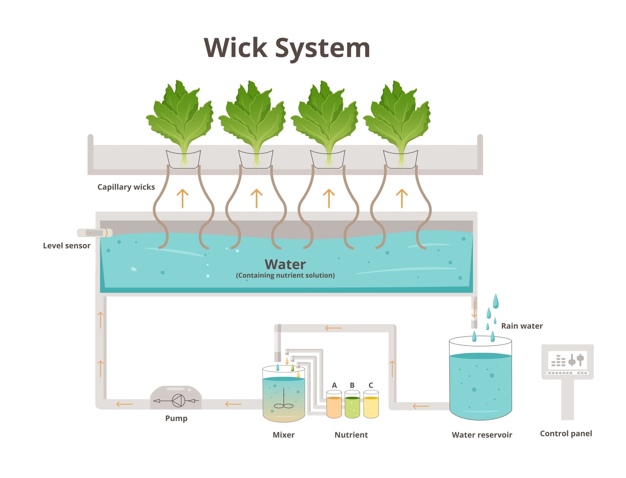 Graphic of wick system for plant grow